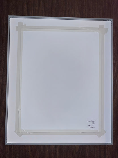 Fly Eagle Signed and Framed 16"x20" Print