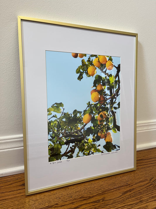 A Bit Sour Signed and Framed 11"x14" Print