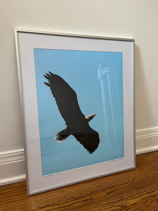 Fly Eagle Signed and Framed 16"x20" Print